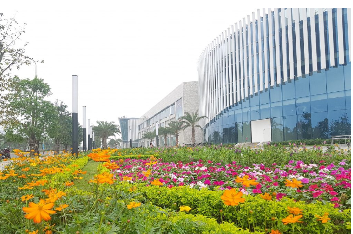 dự án Vincom mega mall